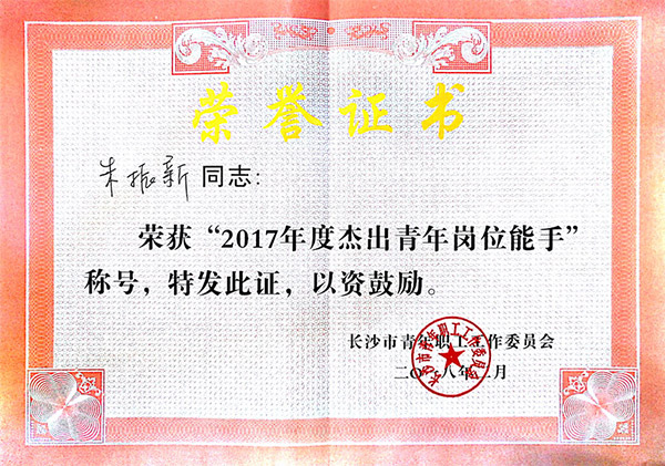 龙8头号玩家智能朱振新荣获长沙市2017年度优异青年岗位能手