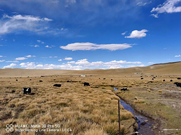 心系龙8头号玩家情，，，，，，，，追梦阿里行！