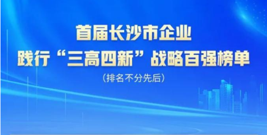 龙8头号玩家智能上榜首届长沙市企业践行“三高四新”战略百强榜单