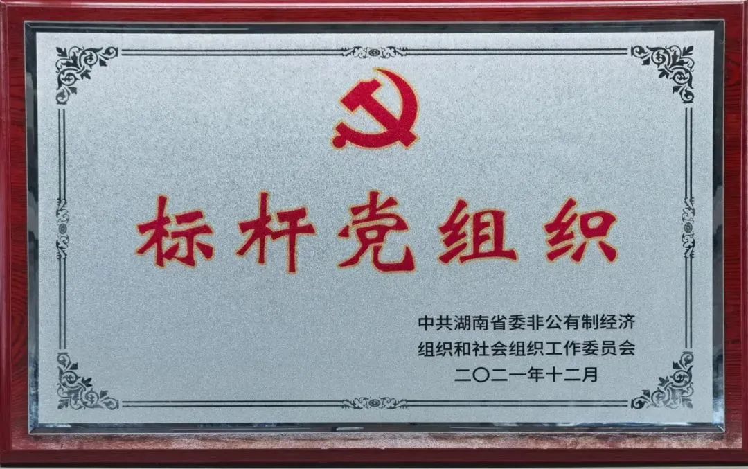 党建品牌亮起来！龙8头号玩家智能党委获评“标杆党组织”