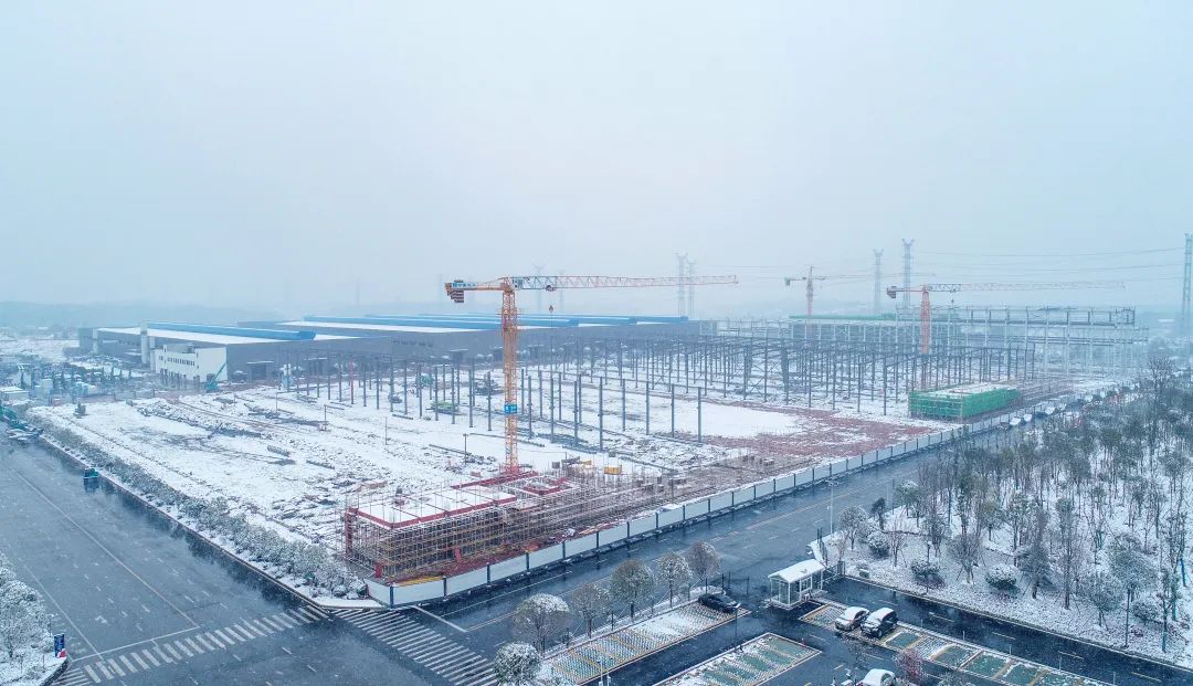 瑞雪兆有年，，，，，邀您共赏雪中龙8头号玩家！