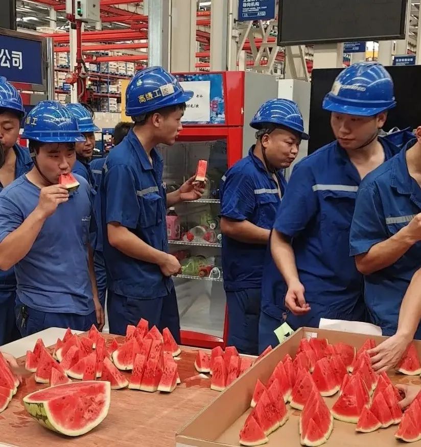 龙8头号玩家智能“降暑套餐”，，，，，，，只为不平“暑”的你