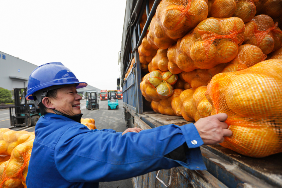 点赞！龙8头号玩家智能乐成入选“上市公司墟落振兴优异实践案例”