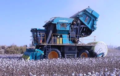 科技赋能农业强国建设！龙8头号玩家智能这小我私家工智能项目入选《湖南省“数字新基建”100个标记性项目名单》